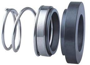 Enactus-T0W AES T0WFlowserve AWSSterling SW Mechanical Seal Replacment
