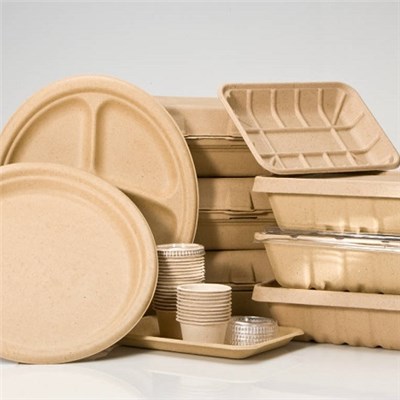 Disposable Molded Pulp Meal Boxes Plates Refrigerator Microwave Oven Safe