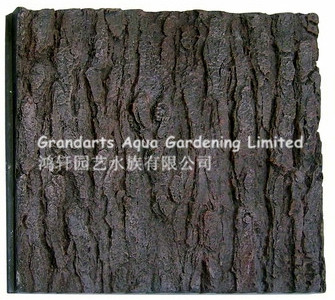 tree bark background board