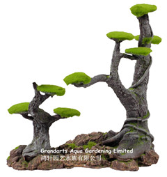 Мосс пень, дерево бонсай PX521
