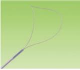 Disposable Loop Type Polypectomy Snare
