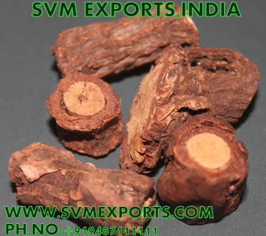Hemidesmus Indicus Suppliers India