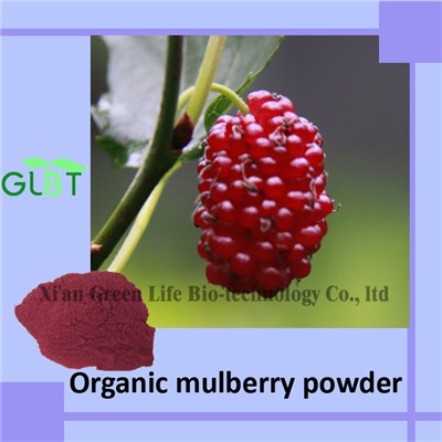 Organic Mulberry Powder