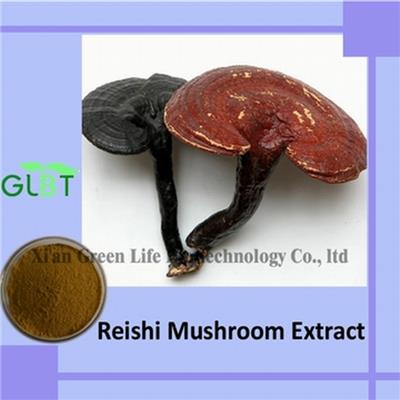 Reishi Mushroom Extract