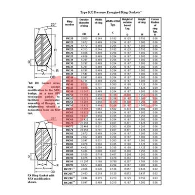 SRX Ring Type Gasket