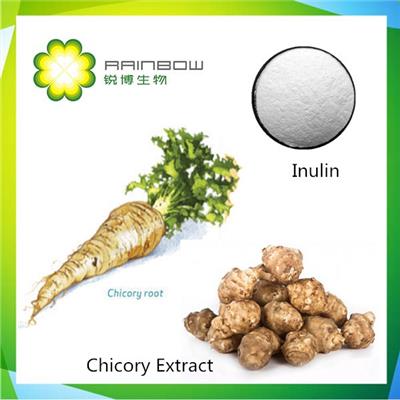 Chicory Extract