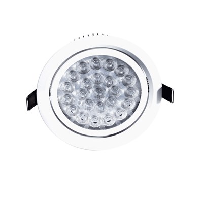 24W LED Down Ligh Lens Distribution High CRI (Ra>90) High Power LED