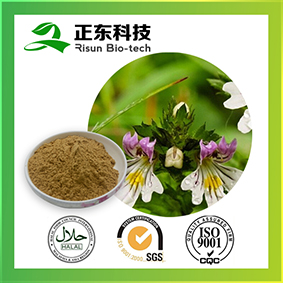 Factory Supply Eyebright Extract Brown Fine Powder