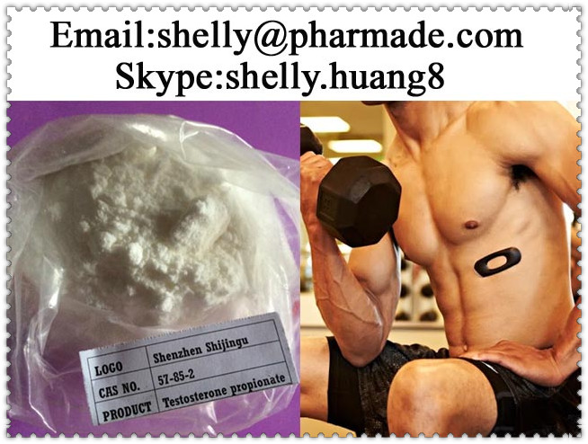 Testosterone Propionate Powder 