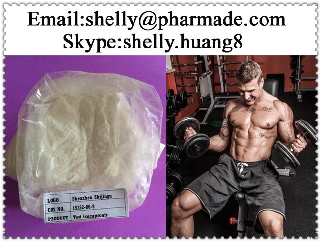 Testosterone Isocaproate Powder