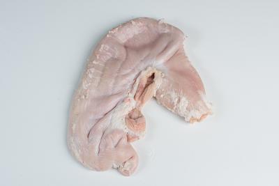 Pork stomach 1.50$
