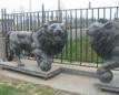 Sculpture and carving stone, animal sculpture, people sculpture