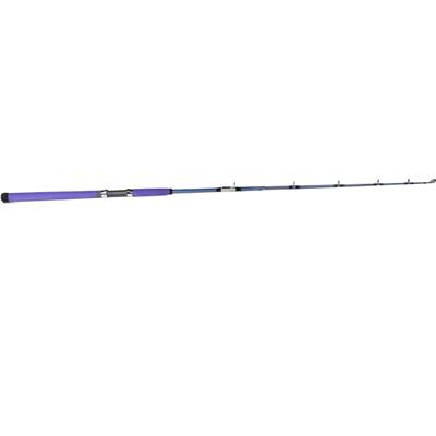 3 Section Surf Fishing Carbon Rod