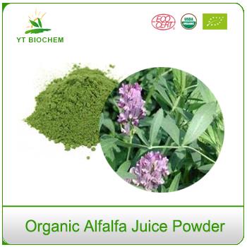 100% Organic Alfalfa Grass Juice Extract Powder
