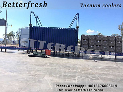 Manufacture provide 12 pallets Vegetable Vacuum Cooling machine with Vertical sliding door 
