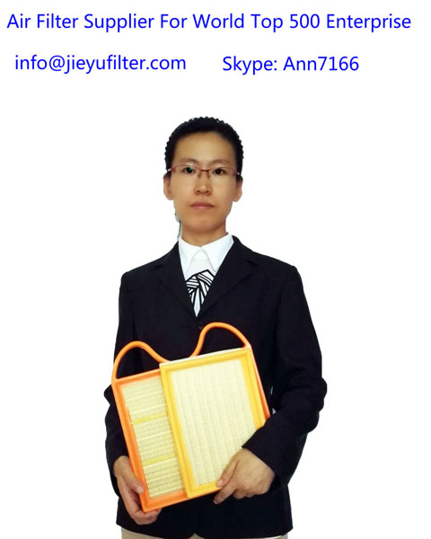 automotive air filter-China automotive air filter more than 10 years OEM production experience