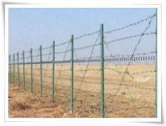 колючая проволока Егоза (Концертина) Китай / galvanized barbed wire