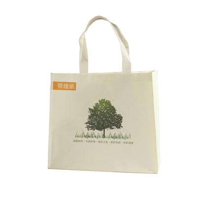 Handle Customized Printed Tarpaulin Paper Shopping Bag