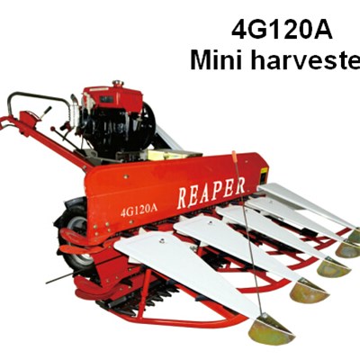 Mini Harvester With Single-layer Divider