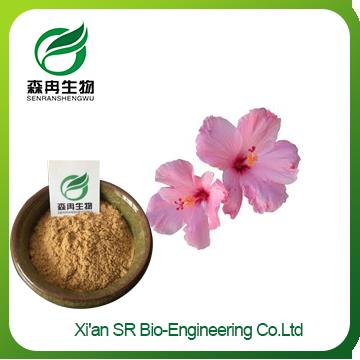 Hibiscus Extract Powder,100% Natural Top Quality Hibiscus Powder,organic Hibiscus Powder