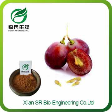 Grape Seed Extract,Factory Supply High Quality Organic Grape Seed Extract,grape Seed Extract Weight Loss