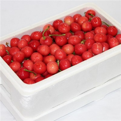 Full Auto EPS Expanded Polystyrene Foam Box Shape Moulding Making Machine