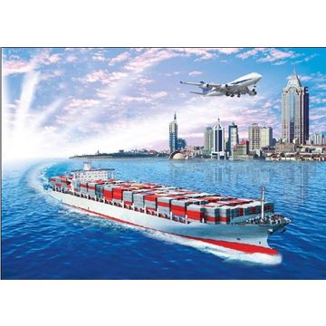 Logistics Service from Shenzhen China to Sharjah UAE by HJ for 17 Days 350USD/20FT,450USD/40FT,40HQ