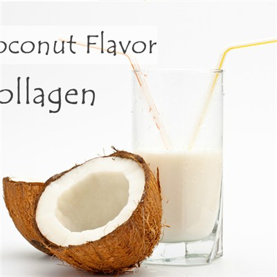 Coconut Flavor Fish Collagen Solid Drink
