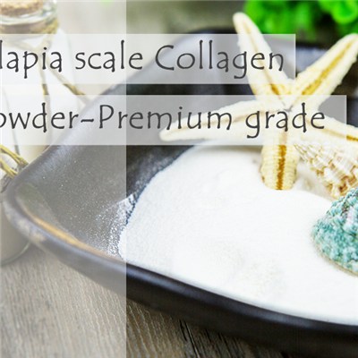 Tilapia Scale Collagen Powder-Premium Grade