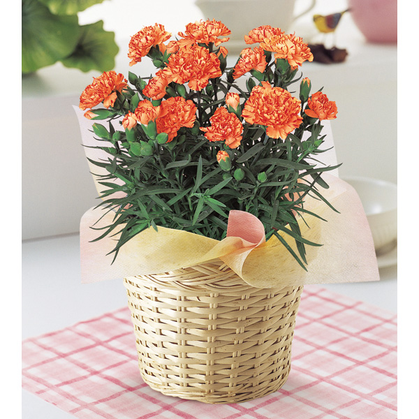Цветочные корзины Китай / flower basket