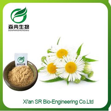 Chamomile Extract,Factory Supply Pure Natural Chamomile Flower Powder,Chamomile Powder For Skin