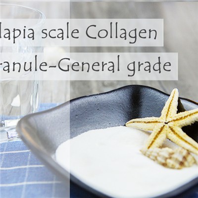 Tilapia Scale Collagen Granule-General Grade