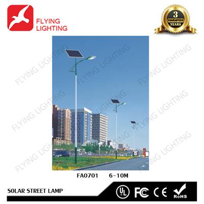 100% Sufficient Power LED Solar-Wind Hybrid Street Lamp FA0701