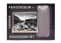 0.6 inch display microdisplay SVGA