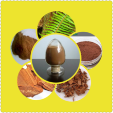 Supply Yohimbe Bark Extract Powder With high quality