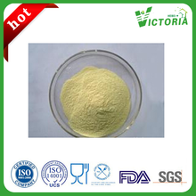 Supply High Quality GINSENG EXTRACT