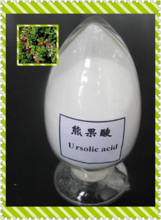 Bearberry Extract,Ursolic Acid CAS#77-52-1