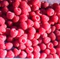 Red Raspberry Powder