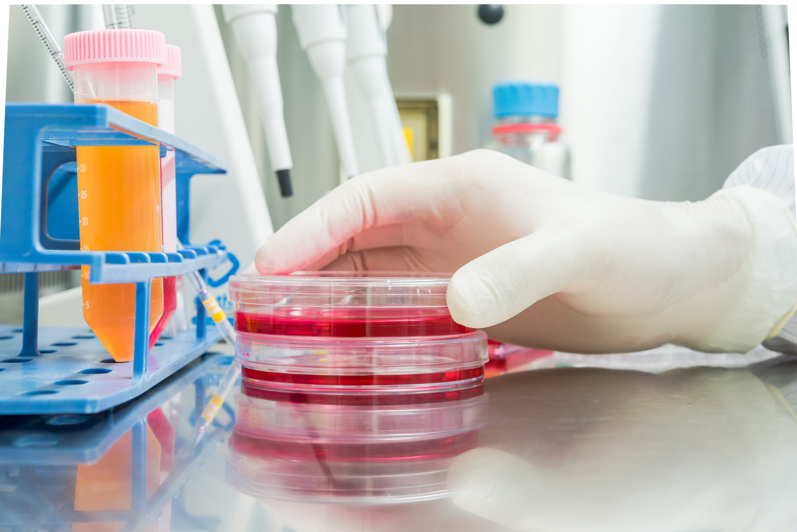 Culture Media Ingredients