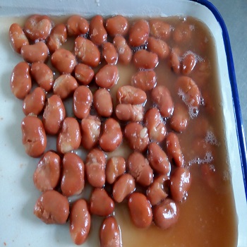 export broad beans canned ,fava beans,foul medames in australia