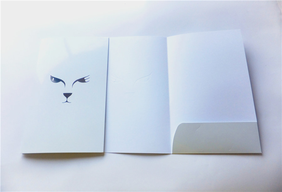 Cheap folded paper folder printing for presentation