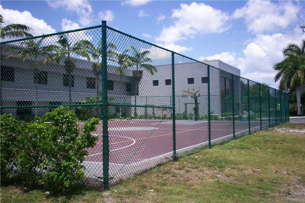 Chain Link Sports Fence