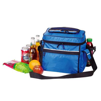 Ourdoor Gift Portable Cooler Bag