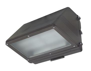 Dark Sky LED Wall Mounting Lights Replacement