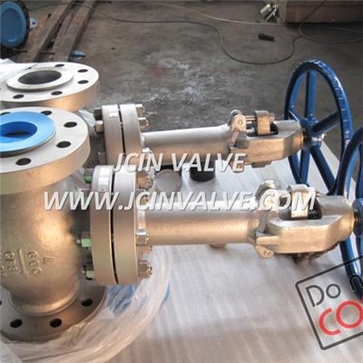 Cryogenic Globe Valve