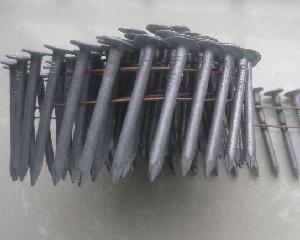 Stainless Coil Roofing Nail