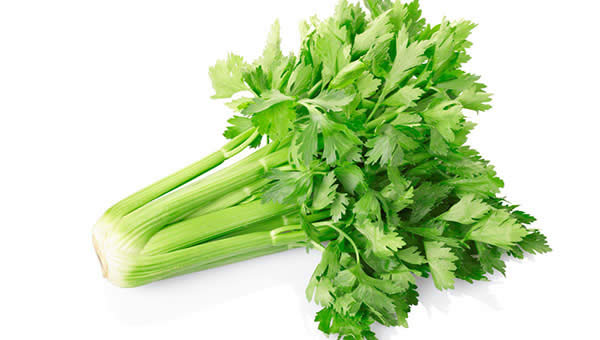 Celery Seed Extract Apigenin