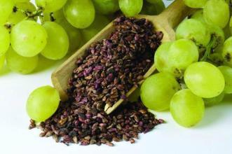 Grape Seed Extract