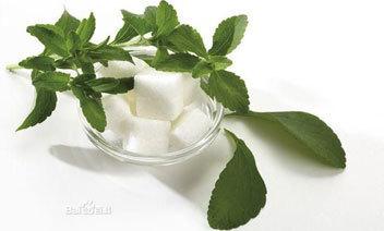 Organic Stevia Extract