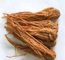 Angelica Sinensis Extract Ligustilide